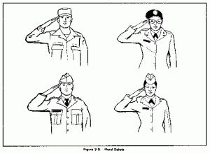 The Marine Hand Salute or Present Arms.